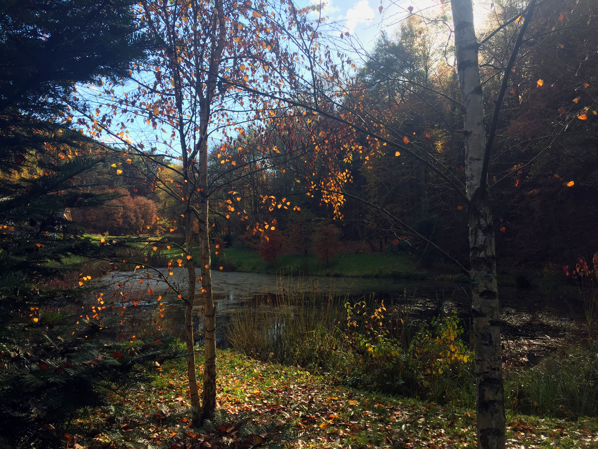 Zahrada v CHKO - podzim Hlavní Foto