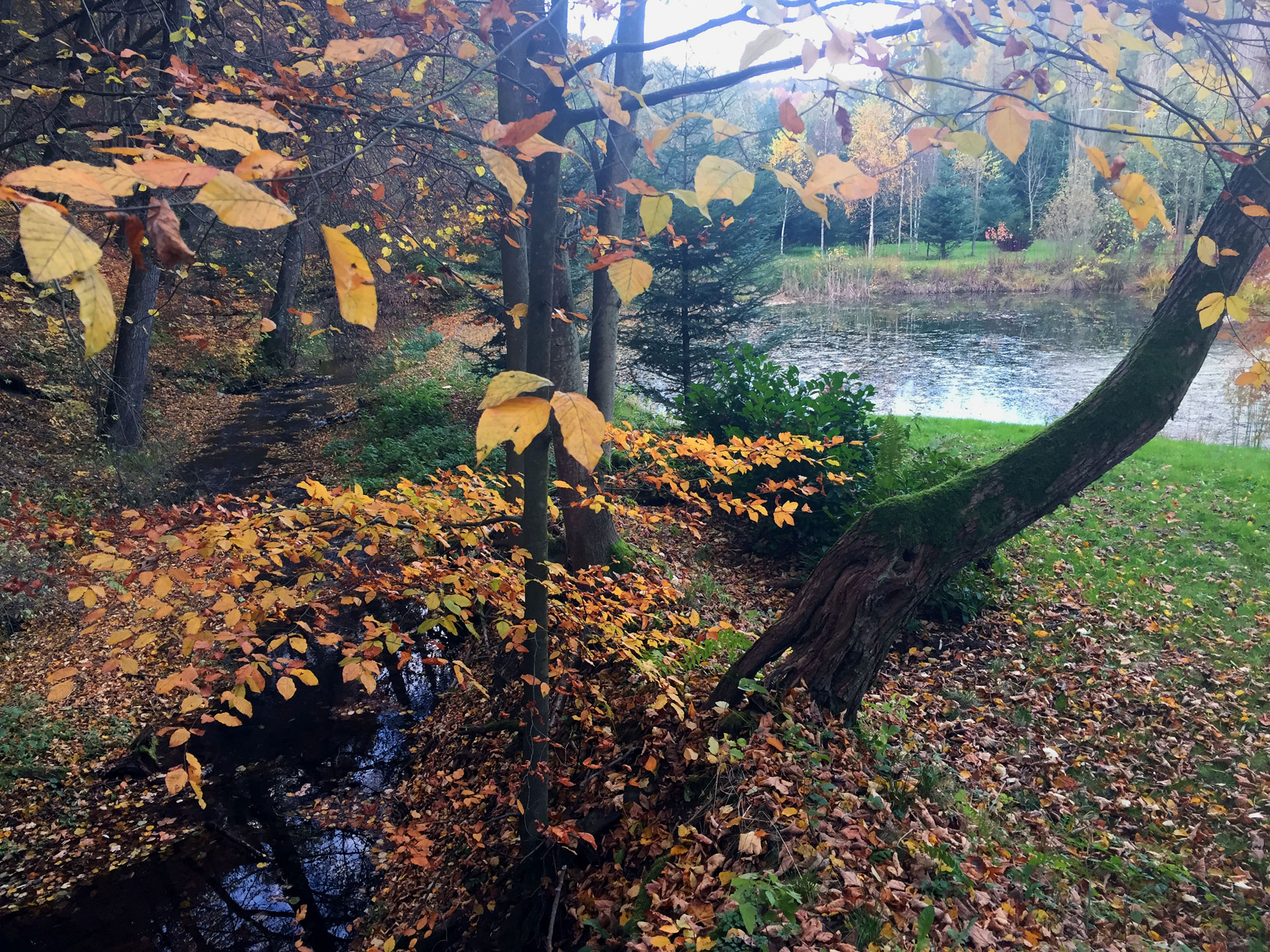 Zahrada v CHKO - podzim Foto zahrady